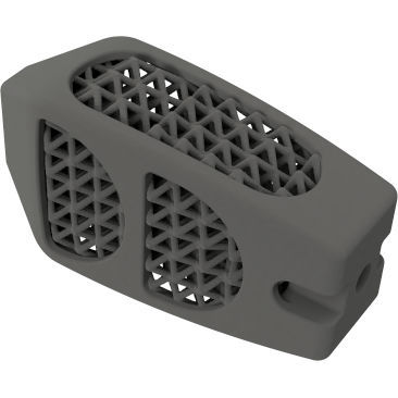 Caja intersomática lumbar - BMD PLIF ® - Global Biomedica - vía posterior / de titanio