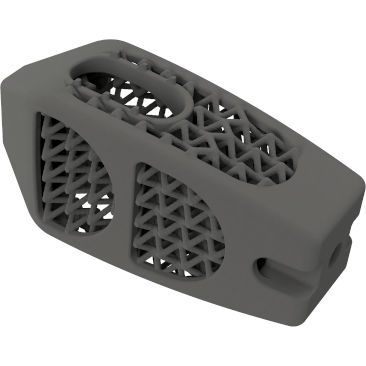 Caja intersomática lumbar - BMD PLIF GW ® - Global Biomedica - vía posterior / de titanio