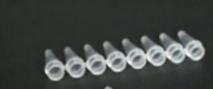 Tubo de ensayo de laboratorio - YPT8-0.2-T - Mountain Scientific Inc - para PCR / para ADN / para ARN