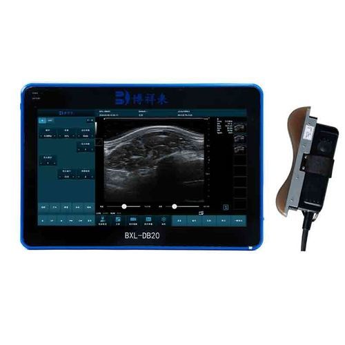 Medidor de grasa dorsal para animales grandes - BXL-DB20 - Zhengzhou Boxianglai Electronic Sci-tech Co.,Ltd