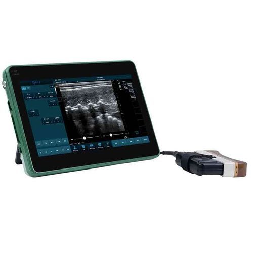 Medidor de grasa dorsal para bovinos - BXL-DZ20 - Zhengzhou Boxianglai Electronic Sci-tech Co.,Ltd - para óvidos / para gatos / para perros