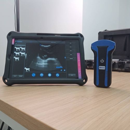 Ecógrafo veterinario portátil - BXL-S101 lPX7  - Zhengzhou Boxianglai Electronic Sci-tech Co.,Ltd - multifuncional / para óvidos