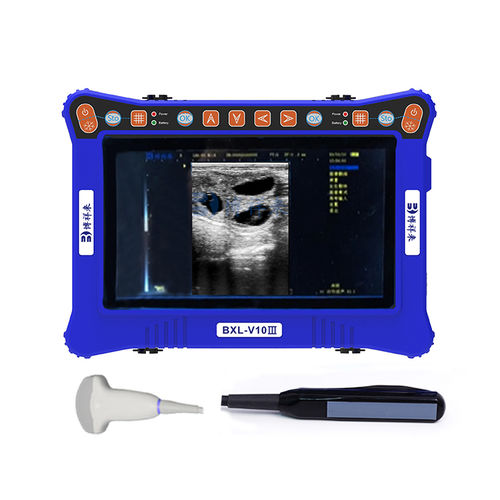 Ecógrafo veterinario portátil - BXL-V10 Ⅲ  - Zhengzhou Boxianglai Electronic Sci-tech Co.,Ltd - multifuncional / para porcinos / para équidos