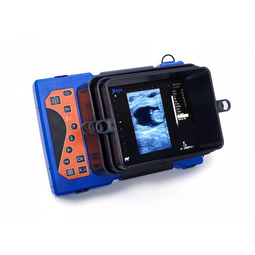Ecógrafo veterinario portátil - BXL-V50 - Zhengzhou Boxianglai Electronic Sci-tech Co.,Ltd - multifuncional / para bovinos / para óvidos