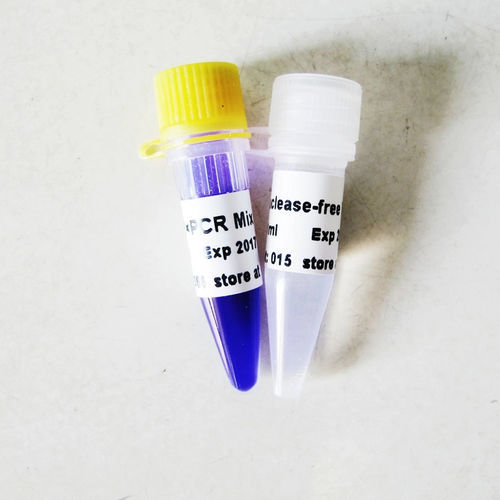 Reactivo en solución - P2011 - Guangzhou Dongsheng Biotech Co., Ltd. - solución tampón / ADN polimerasas / polimerasa Taq