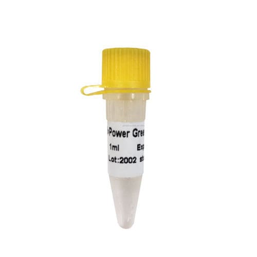 Kit de reactivos polimerasa Taq - P2101 - Guangzhou Dongsheng Biotech Co., Ltd. - para PCR