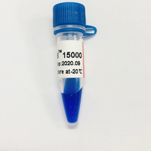 Reactivo gel de agarosa - LD DS - Guangzhou Dongsheng Biotech Co., Ltd. - colorante / ácido nucleico / de electroforesis