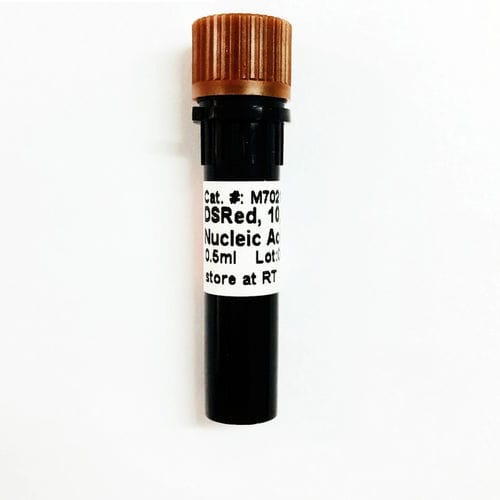 Reactivo colorante - DSRed - Guangzhou Dongsheng Biotech Co., Ltd. - gel de agarosa / ácido nucleico / de ácidos nucleicos