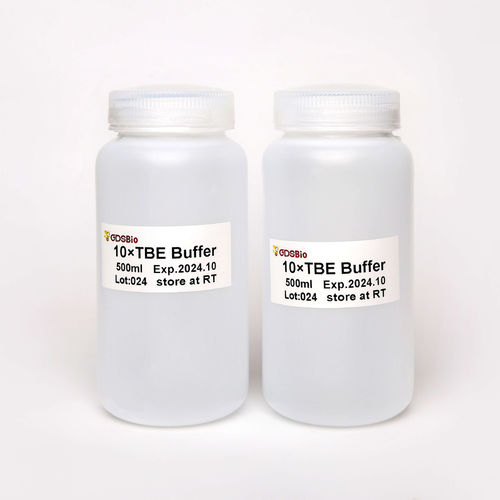 Reactivo solución tampón - TBE  - Guangzhou Dongsheng Biotech Co., Ltd. - de electroforesis / líquido / de pH