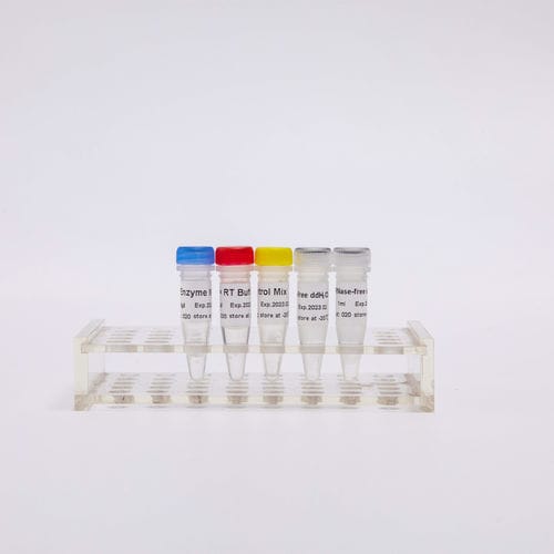 Kit de reactivos retrotranscriptasa - R1031 - Guangzhou Dongsheng Biotech Co., Ltd. - colorante / para RT-PCR / para qPCR