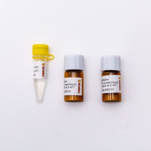 Reactivo enzima - DSPath™ - Guangzhou Dongsheng Biotech Co., Ltd. - polimerasa Taq / retrotranscriptasa / inhibidor de RNasa