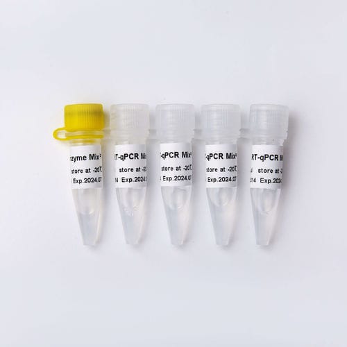 Kit de reactivos ADN polimerasas - V2 - Guangzhou Dongsheng Biotech Co., Ltd. - retrotranscriptasa / de RT-qPCR