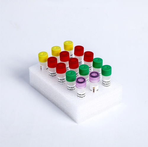 Kit de reactivos enzima - K004-A - Guangzhou Dongsheng Biotech Co., Ltd. - ADN ligasa / colorante / NGS