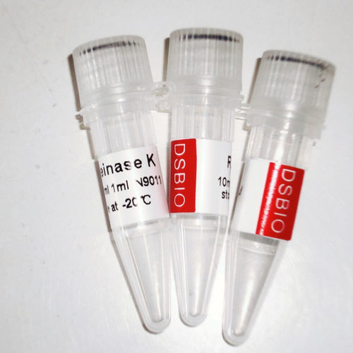 Reactivo enzima - N9012 - Guangzhou Dongsheng Biotech Co., Ltd. - proteasa / proteinasa K / para biología molecular