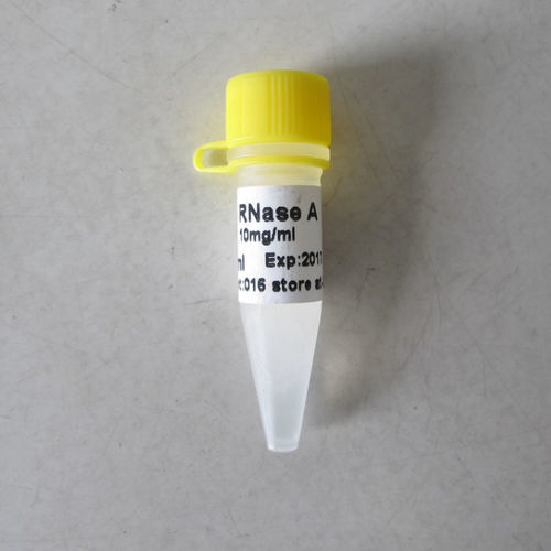 Reactivo solución tampón - N9041 - Guangzhou Dongsheng Biotech Co., Ltd. - enzima / para la detección de mutaciones / de proteínas