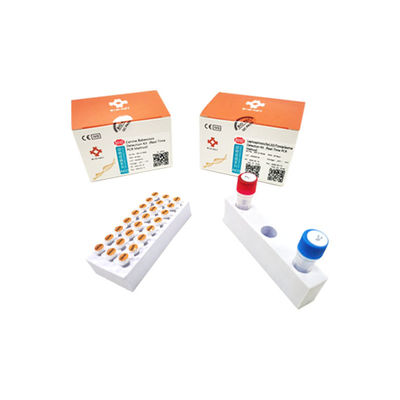Kit de prueba de leptospirosis - BIK-Q-P028 - Biokey Health - para cánidos / de Toxoplasma gondii / de sangre total