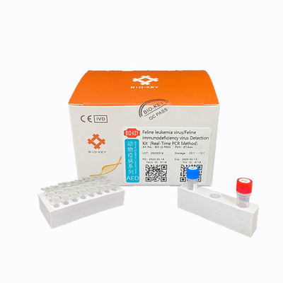 Kit de prueba de leucosis felina - BIK-Q-P035 - Biokey Health - de SIDA / para felinos / de sangre total