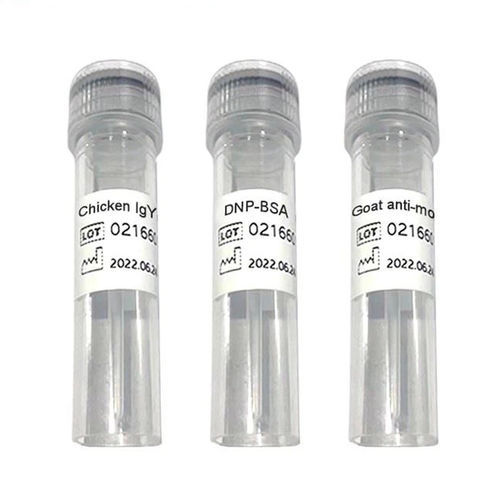 Reactivo anticuerpos - C-line - Chengdu Vacure Biotechnology Co., Ltd - antígeno / cardíaco / de IgG