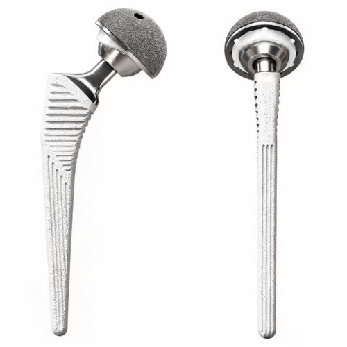 prótesis de cadera de primera intención - Chongqing FWS Medical Device
