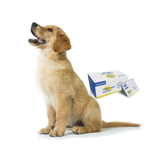 Kit de prueba para cáncer de páncreas - Poclight - veterinario / para animales / para cánidos