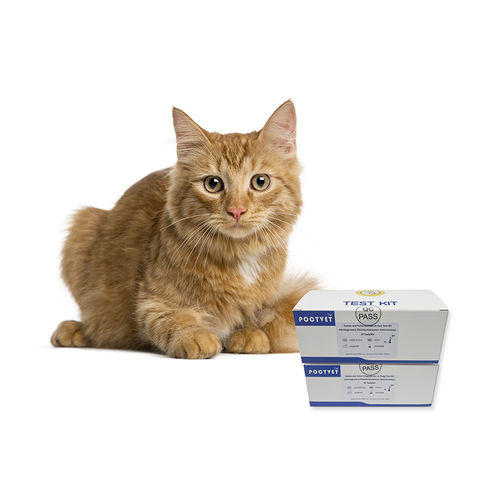 Kit de prueba para cáncer de páncreas - Poclight - veterinario / para felinos / por inmunoquimioluminiscencia