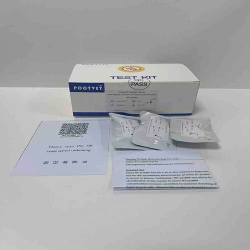 Kit de prueba para enfermermedades infecciosas - Poclight - veterinario / para felinos / de NT-proBNP