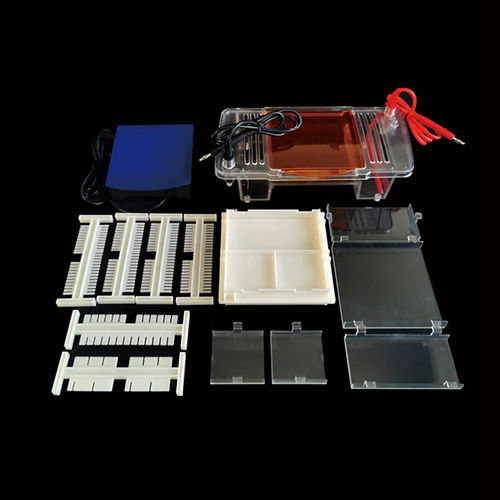 Sistema de electroforesis para proteínas - SVL-2 - Servicebio - para ADN / automático / de mesa