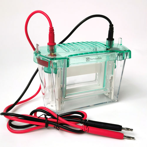 Cubeta de electroforesis para ADN - SVE-2 - Servicebio - para proteínas / vertical