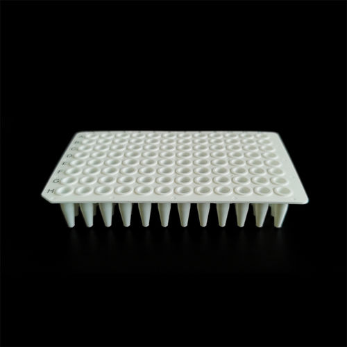 Microplaca para PCR - PCR-9602W-NS - Servicebio - de fluorescencia / de 96 orificios