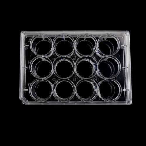 Microplaca de laboratorio - CCP-12H - Servicebio - de cultivo celular / de 12 orificios