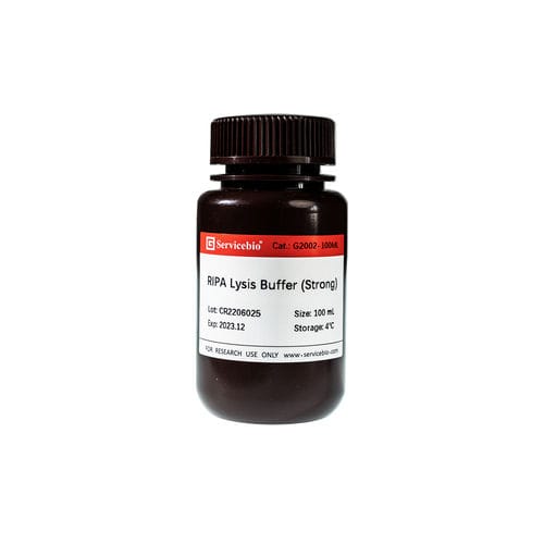 Kit de reactivos solución tampón - G2002-100ML - Servicebio - para extracción proteica