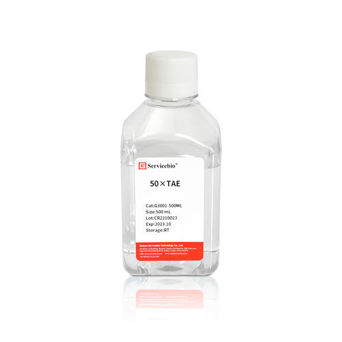 Kit de reactivos solución tampón - G3001-500ML - Servicebio - de electroforesis / líquido