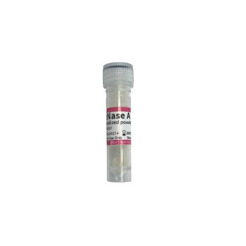 Reactivo enzima - IFT-RA01 - Infusion Tech - para extracción de ADN / liofilizado / en polvo