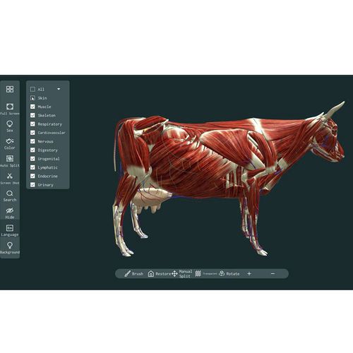software de visualización 3D - MeiWo Science