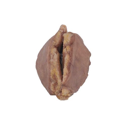 Modelo anatómico de mama - PS-002 - MeiWo Science - de formación / para el cáncer / de silicona