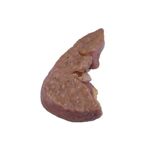 Modelo anatómico de hígado - PX-004 - MeiWo Science - de formación / para el cáncer / de silicona