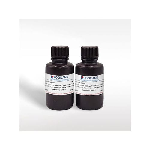Reactivo quimioluminiscencia - FemtoMax™  - Rockland Immunochemicals, Inc, - en solución / para ELISA / líquido