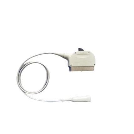 Sonda para ecografía phased array - 5S  - Compatible Probes - abdominal / obstetricoginecológica / para partes pequeñas