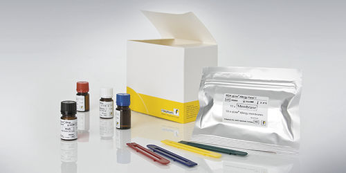 Kit de prueba de alergias - RIDA qLine®  - R-Biopharm AG - IgE específica / de plomo / para bacterias