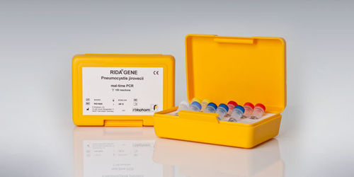Kit de prueba de Pneumocystis jirovecii - RIDA®GENE - R-Biopharm AG - de enfermedades respiratorias / de neumonía / de VIH