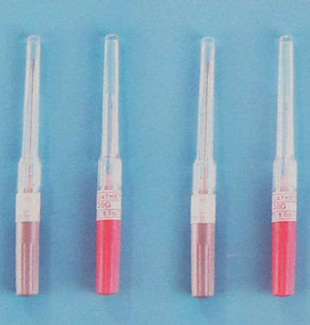 Catéter-aguja de perfusión intravenosa - 1028 - Rongbo Medical - periférica / para humanos