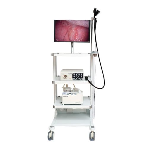 Gastroscopio veterinario vídeo - VET-1508 - Gongjiang Endoscopy Instruments - con monitor de vídeo integrado / con canal operador