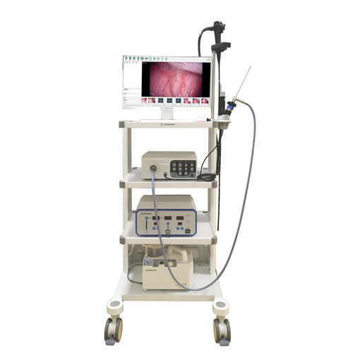 Laparoscopio veterinario vídeo - VET-0305Y - Gongjiang Endoscopy Instruments - con monitor de vídeo integrado / con canal operador