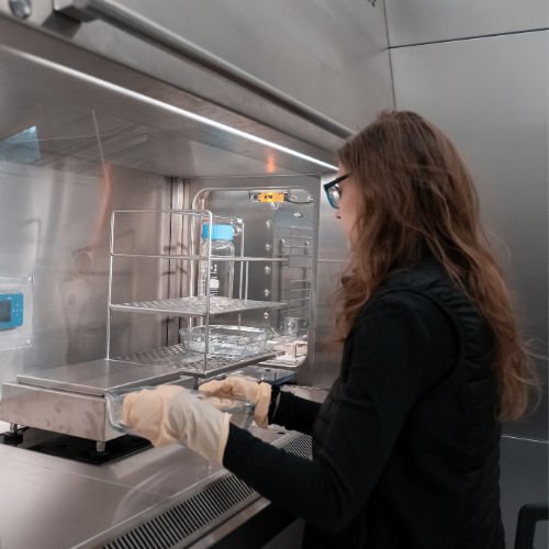 cabina de seguridad microbiológica clase II - EREA