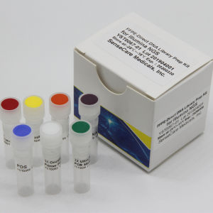 Kit de reactivos en solución - YST0065 - Guilin Yourui Biotechnology Co., Ltd - para PCR / de preparación de bancos de ADN / de calibración
