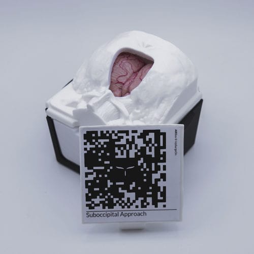 Simulador de formación - SuboccipitalBox - UpSurgeOn - de cirugía / quirúrgico / de neurocirugía