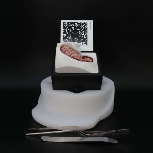 Simulador para craneotomía - FluorescentBox - UpSurgeOn - quirúrgico / de kit / de realidad aumentada