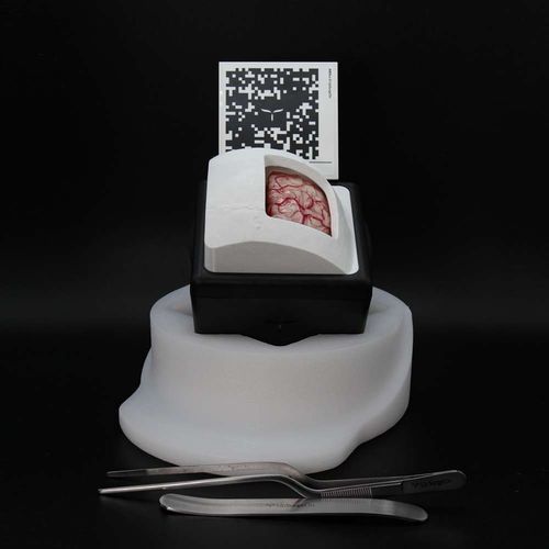 Simulador de formación - BrainTumorBox - UpSurgeOn - para atención general / de anatomía