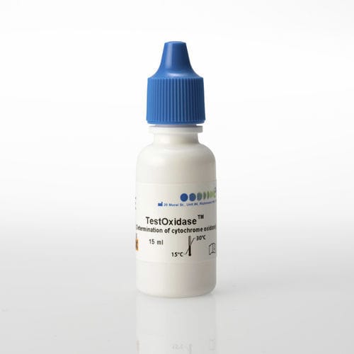 Prueba rápida para enfermermedades infecciosas - TestOxidase™ - PRO - LAB Diagnostics Ltd. - citocromo oxidasa / para bacterias