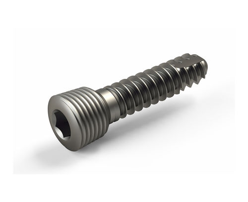 Tornillo de compresión ósea para fragmentos óseos pequeños - 2T1-11813512 - Ases Orthopedics - bloqueado
